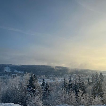 Koselig Rom I Rolige Omgivelser Amot Kültér fotó